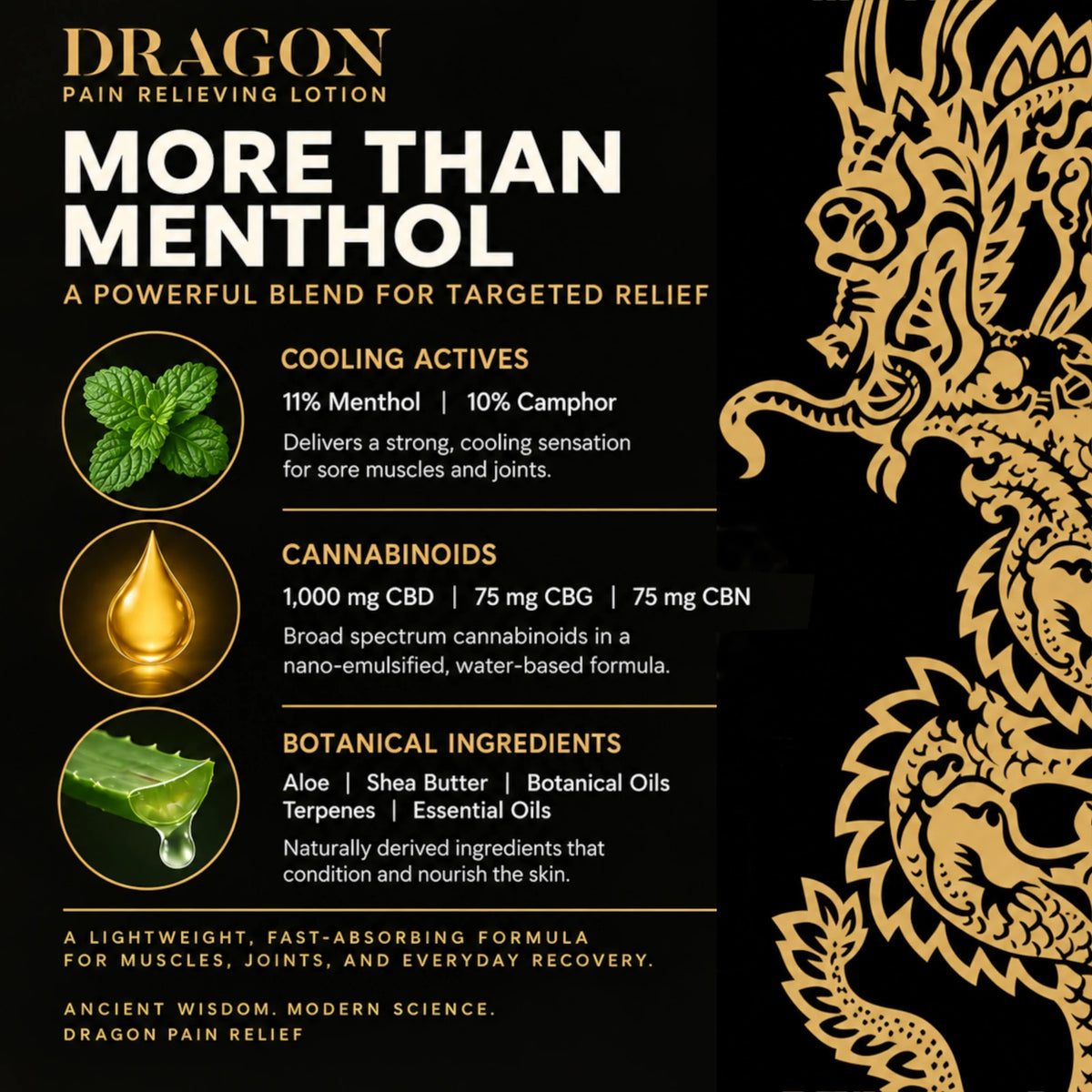 Dragon Pain Relieving Lotion - Extra Strength